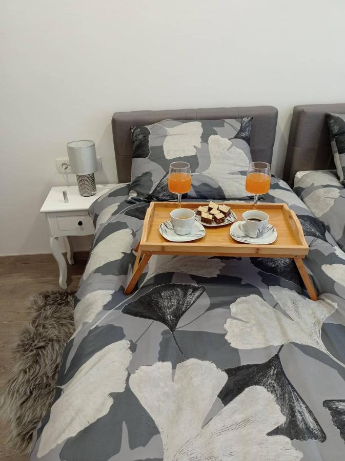 Apartman Cezar Daire Rijeka Dış mekan fotoğraf