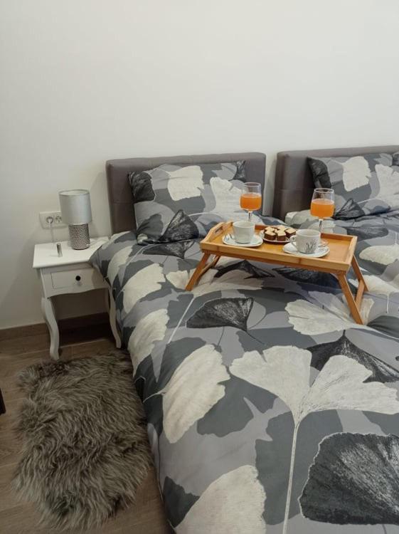 Apartman Cezar Daire Rijeka Dış mekan fotoğraf